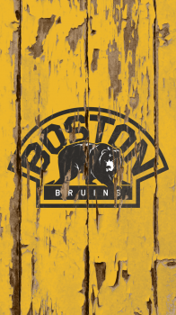 Boston Bruins 04.png