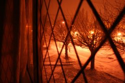 snow-24Jan.jpg