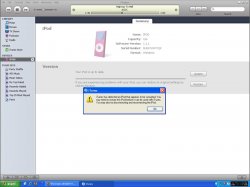 ipod2.jpg