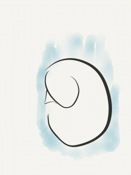 blue cat.png
