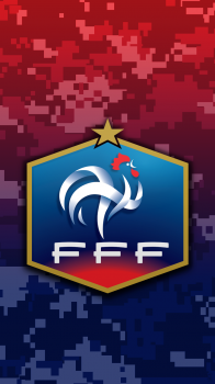 French Football Federation camo.png