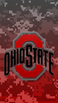 Ohio State Buckeyes camo.png