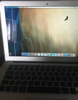 image.jpeg image.jpeg