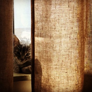 2016-07-02 11.35.15-1.jpg