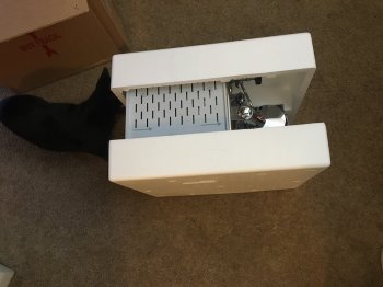 20160708_211735830_iOS.jpg
