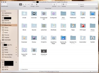 iCloud Drive 2.jpg