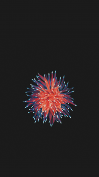AR72014-iPhone-SE-flower-wallpaper-for-iPhone.png
