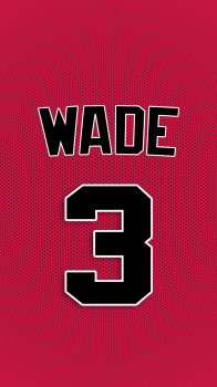 Chicago Bulls Wade.png