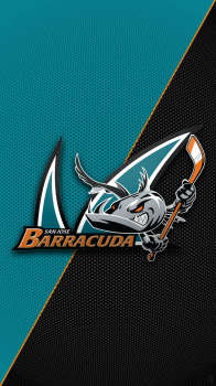 San Jose Barracuda 01.png