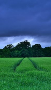 landscape.jpg