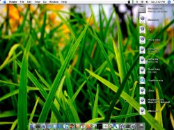 screenshot25.jpg