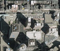 Picture-1.jpg