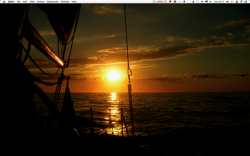 Picture 1 copy.png