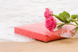 v-day gift.jpg