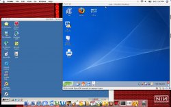 pdesktop.jpg