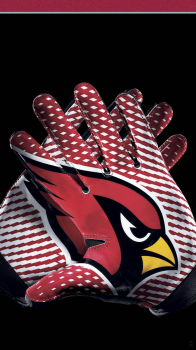 Arizona Cardinals gloves.png