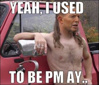 tony_abbot_mullet_man.jpg