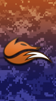 Echo Fox camo.png