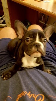 20160819_033750.jpg