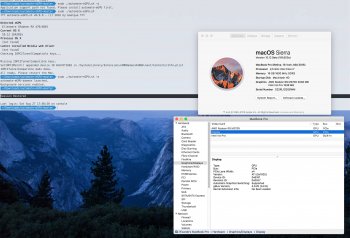 Screen Shot 2016-08-27 at 17.09.10.jpg