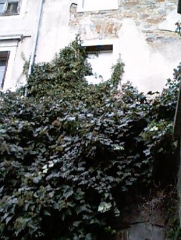 05-11-2001 4.jpg