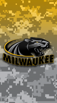 Milwaukee Panther camo.png