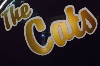 image.jpeg