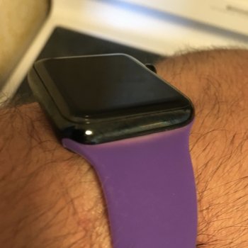purple.jpg