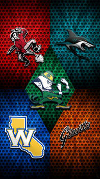 5 Logo Combo.png