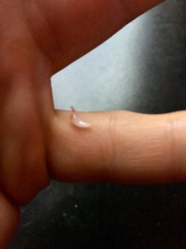 20160917_134053154_iOS.jpg