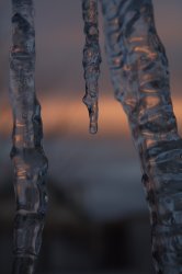 IMG_0740.jpg