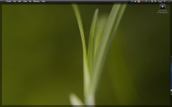 Picture 1.png.jpg