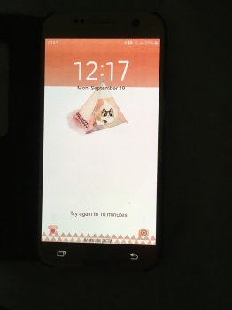 image.jpeg image.jpeg