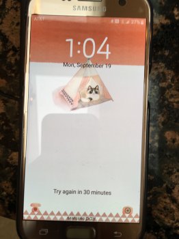 image.jpeg image.jpeg