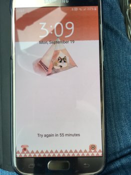 image.jpeg image.jpeg