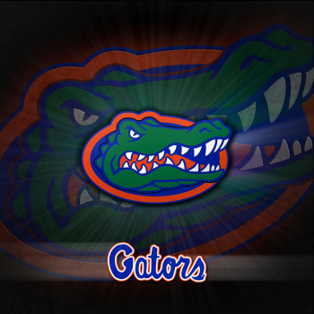 Florida Gators 2048 01.png