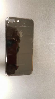 14429162_10153913397030794_748498384_n.jpg