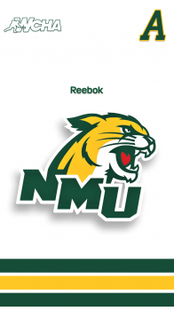 Northern Michigan University Wildcats home.png