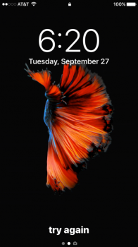 IMG_3074-2.PNG