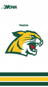 Northern Michigan University Wildcats home 02.png