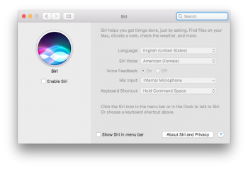 disabled siri.png