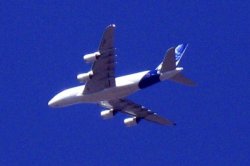 n31403246_31072832_9555.jpg n31403246_31072832_9555.jpg