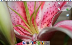 desktop.jpg
