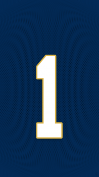 ND Fighting Irish.png