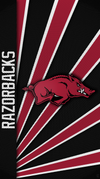 Arkansas Razorbacks 07.png