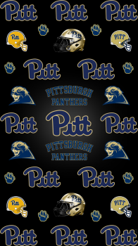 Pittsburgh Panthers.png