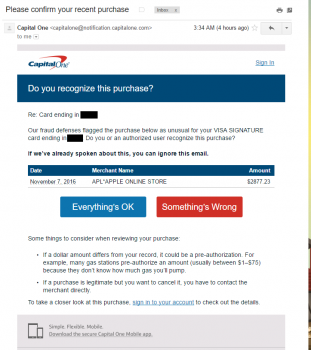 Capital One Flagged Purchase.png
