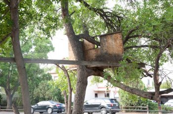 tree-house.jpg