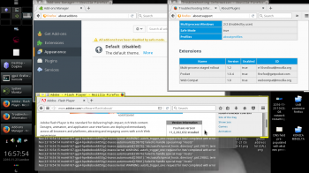 Adobe Flash Player enabled.png