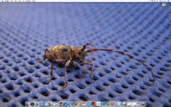 april desktop.jpg